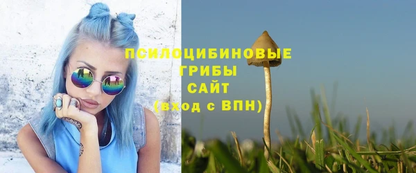 ГАЛЛЮЦИНОГЕННЫЕ ГРИБЫ Володарск