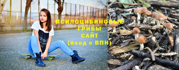 сатива Волоколамск