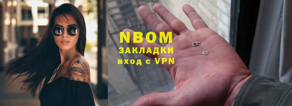 сатива Волоколамск