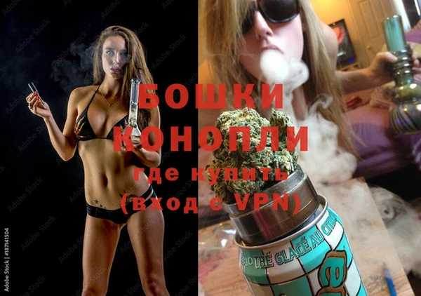 сатива Волоколамск