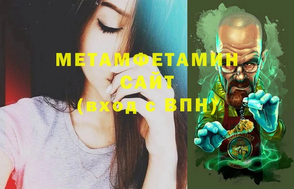 сатива Волоколамск