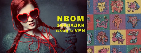 сатива Волоколамск