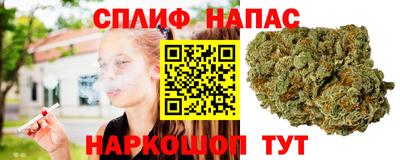стафф Кимры