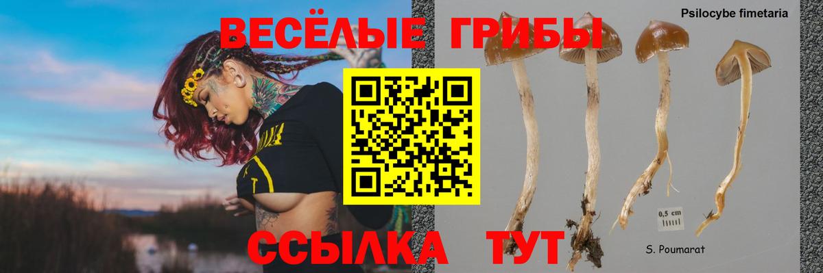 Галлюциногенные грибы Cubensis  Вход с VPN  Сыктывкар 